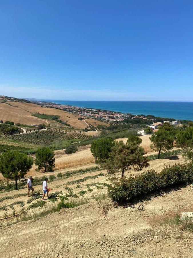 Casale Adriatico B&B Пінето Екстер'єр фото